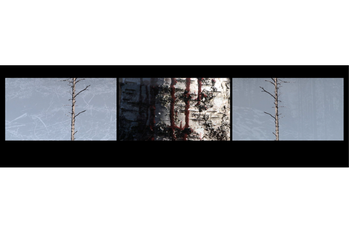 Image example of 3-channel video installation, 